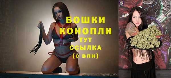 ECSTASY Абаза