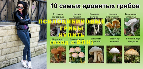 каннабис Абинск