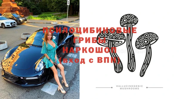 ECSTASY Абаза