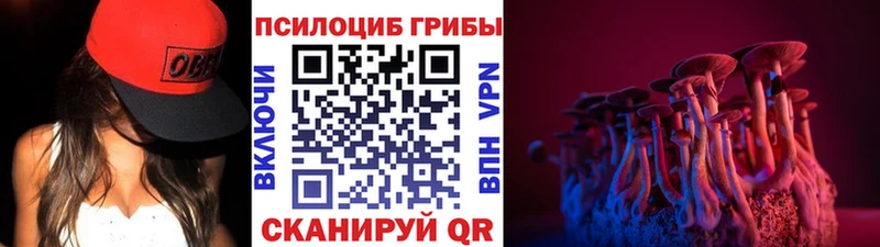 Псилоцибиновые грибы мицелий  Пыталово 